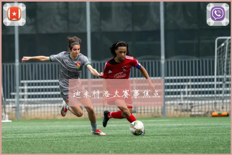 迪米特洛夫赛事焦点