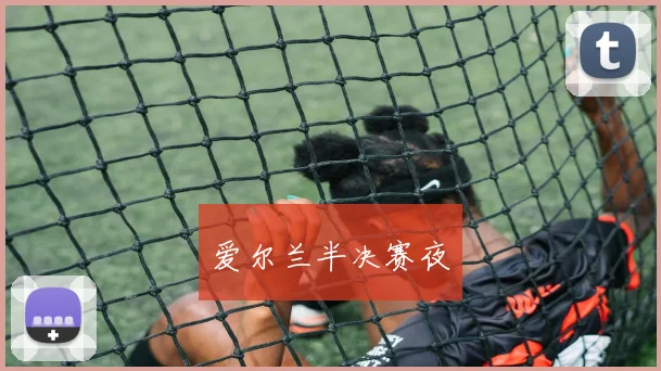 爱尔兰半决赛夜