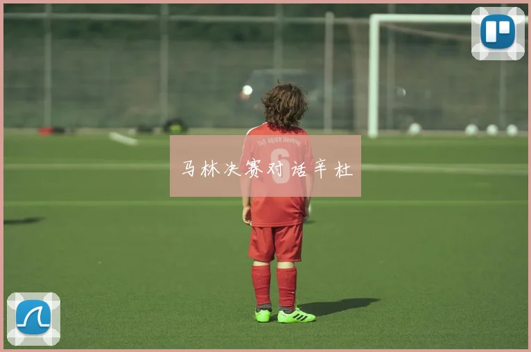 马林决赛对话辛杜