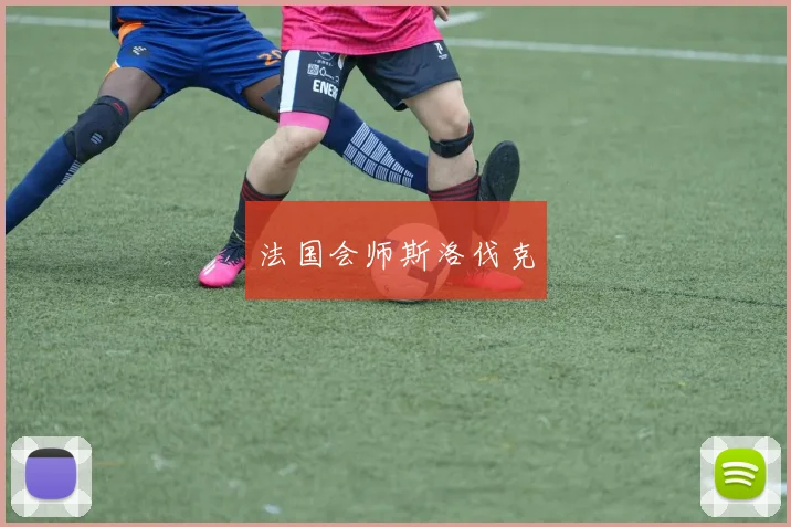 法国会师斯洛伐克