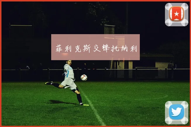 菲利克斯交锋托纳利