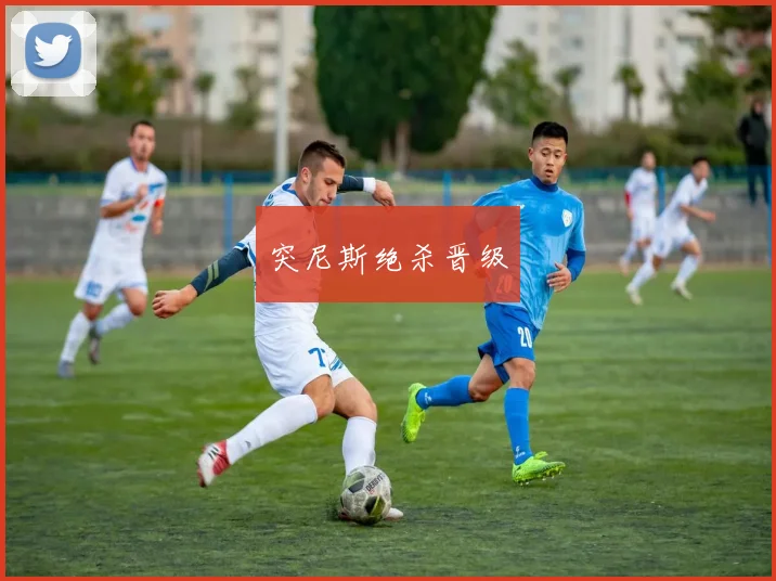 突尼斯绝杀晋级