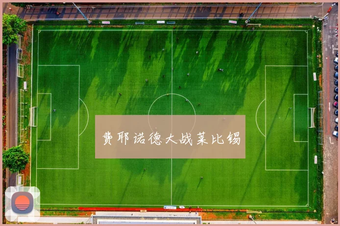 费耶诺德大战莱比锡
