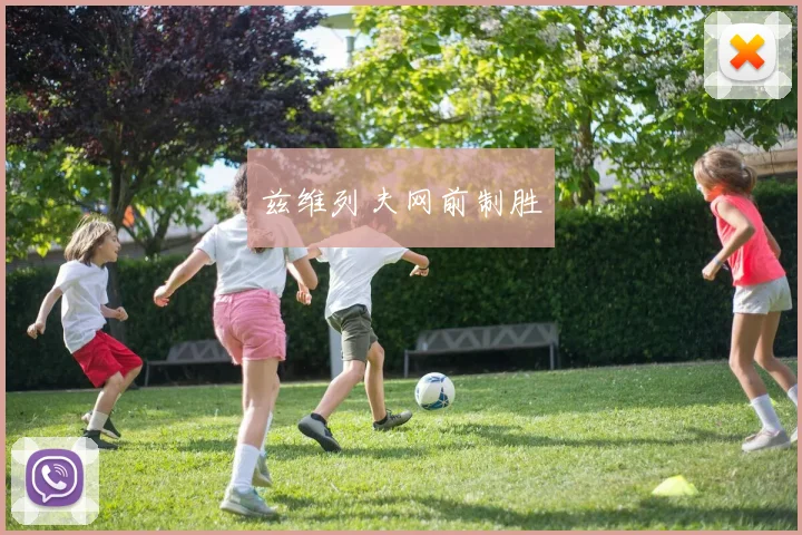 兹维列夫网前制胜
