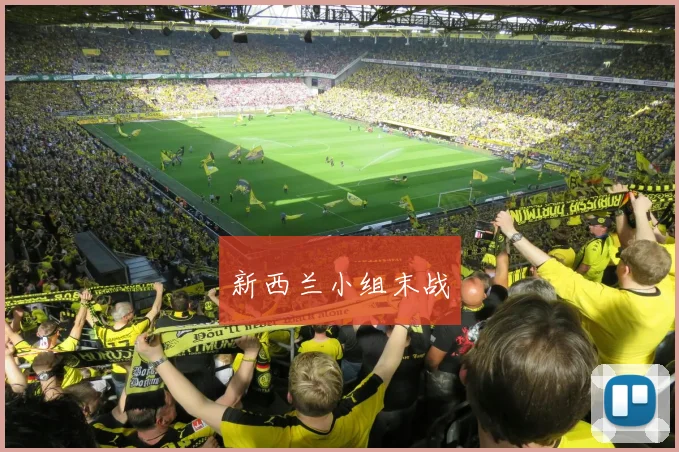 新西兰小组末战