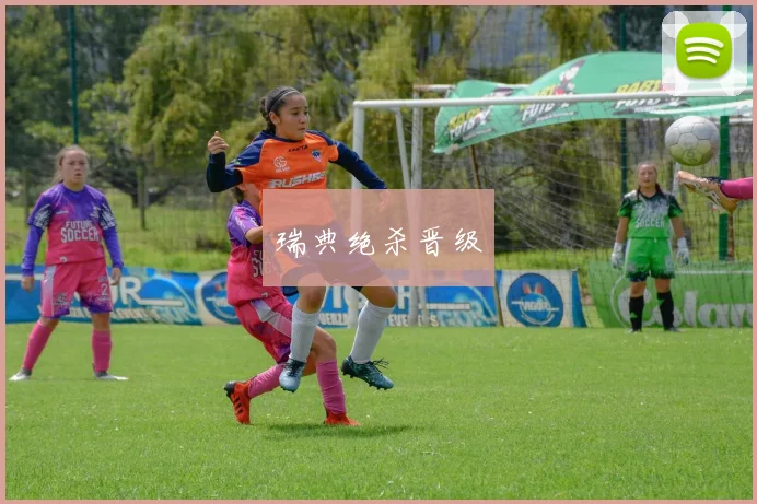 瑞典绝杀晋级