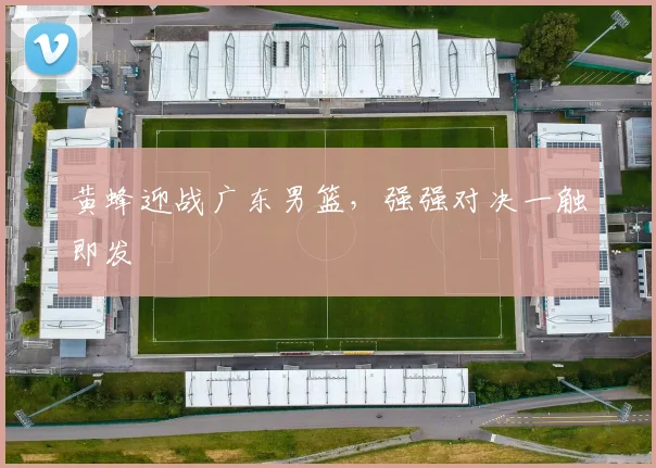 黄蜂迎战广东男篮，强强对决一触即发