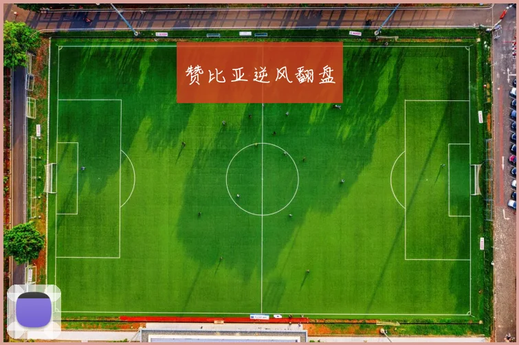 赞比亚逆风翻盘