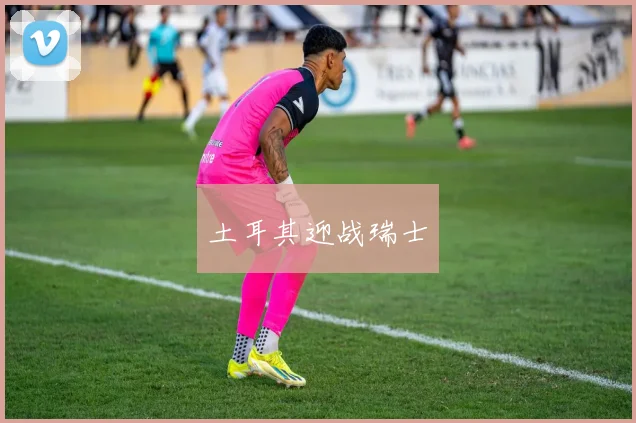 土耳其迎战瑞士