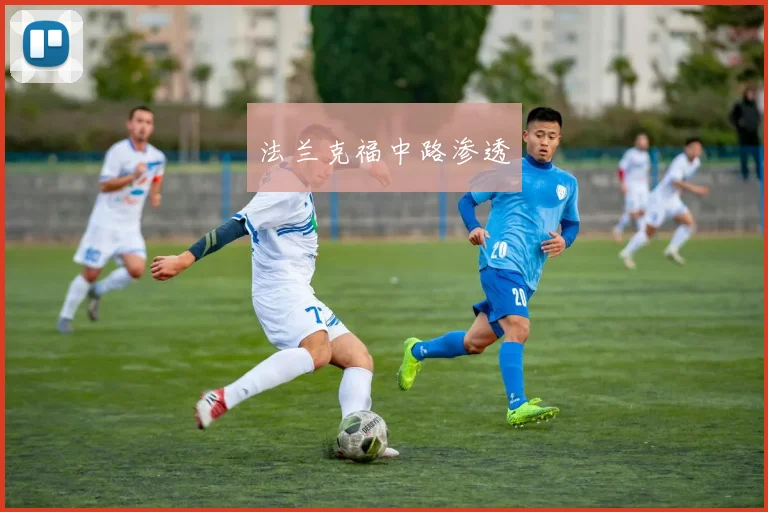 法兰克福中路渗透