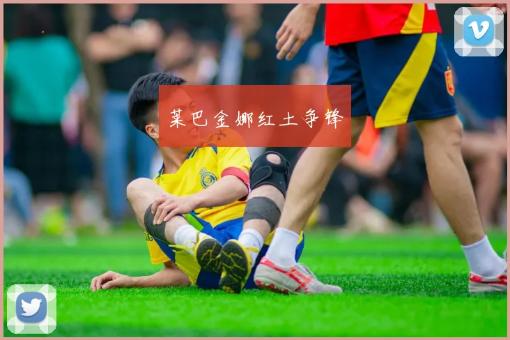 莱巴金娜红土争锋