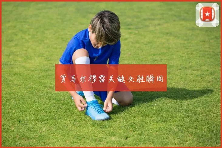 贾马尔穆雷关键决胜瞬间
