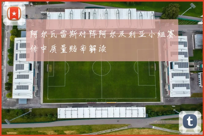阿尔瓦雷斯对阵阿尔及利亚小组赛传中质量赔率解读