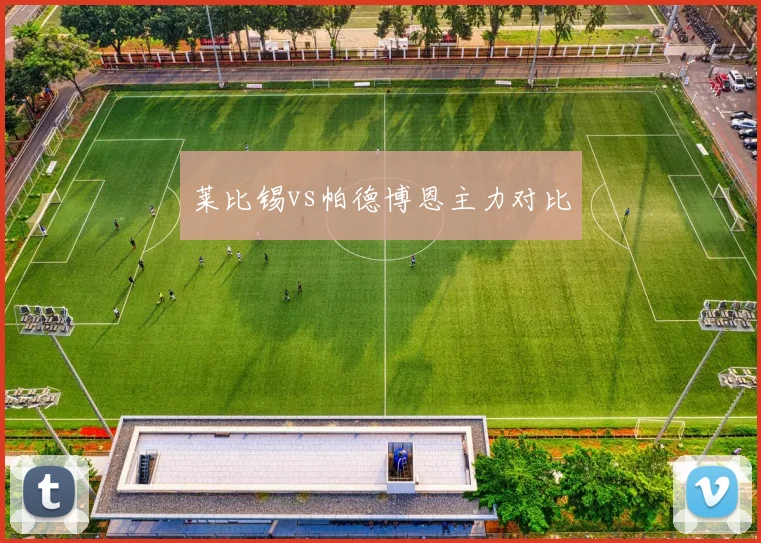 莱比锡vs帕德博恩主力对比