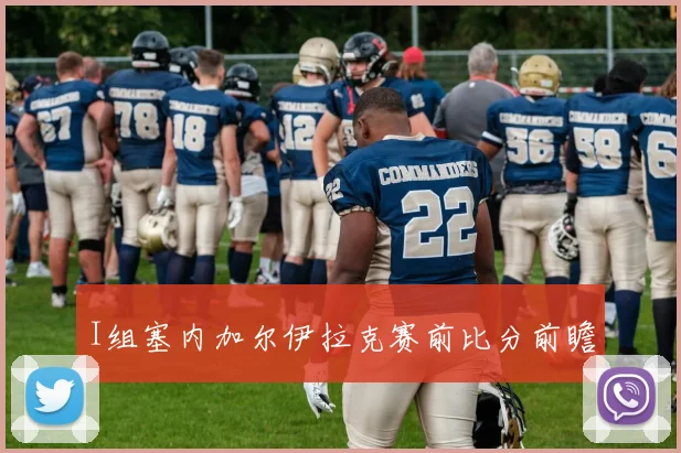 I组塞内加尔伊拉克赛前比分前瞻