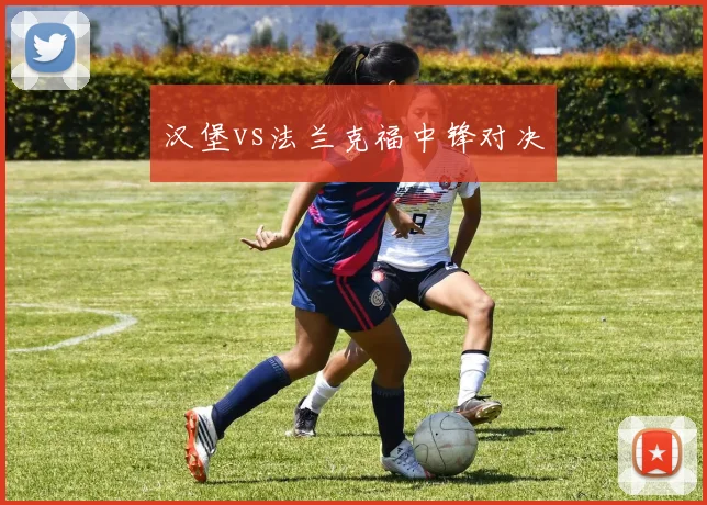 汉堡vs法兰克福中锋对决